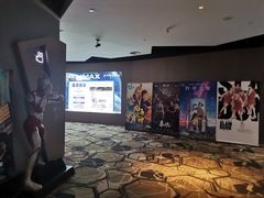 -星河寰宇IMAX影城(星河WORLD·COCO Park店)