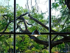 -溪岸路花鸟市场