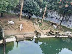-常州淹城野生动物世界