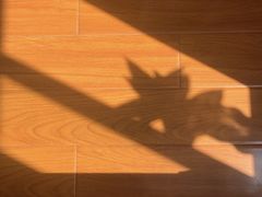 -味多美蛋糕(马家堡永辉店)