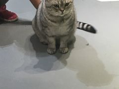 -小时光咖啡馆(开森度假森林店)