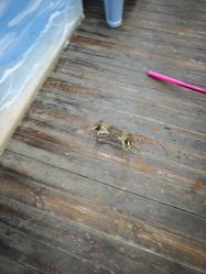 -钓虾工场·钓虾·赶海(回龙观店)