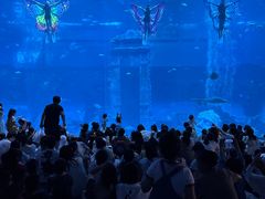 -南昌融创海世界
