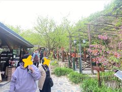 -北京水岸山吧度假村(雁栖镇店)