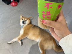 -NOTBAD 须时·咖啡馆