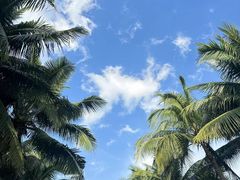 -海口万豪·大堂吧·望海吧.日落海景·下午茶·奶茶·咖啡·轻食·蛋糕·鸡尾酒·清吧