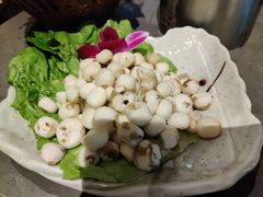 -同仁四季椰子鸡(宝安壹方城店)