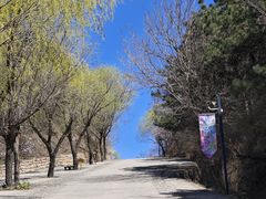 -云峰山自然风景区