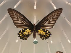 -陕西自然博物馆