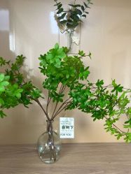 -变美丽半永久纹眉连锁·机器野生眉·洗眉