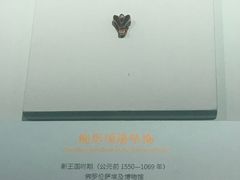 -浙江西湖美术馆
