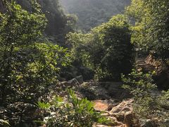 -南海湾森林生态园