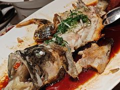 -鸽子侯·家宴·平价海鲜(绿地店)