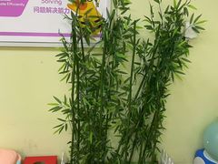 -瑞思少儿中心·少儿英语素养启蒙(勒泰直营校区)