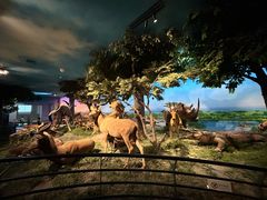 -国家自然博物馆