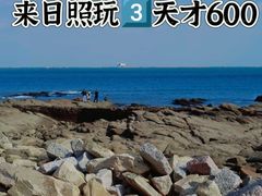 -巧克力渔家.小船海鲜胶东菜(万平口店)