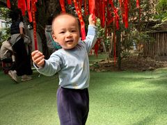 -呀路古热带植物园