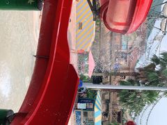 -重庆海昌加勒比海水世界