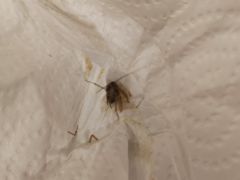 -维也纳国际酒店·西京医院胡家庙地铁站店