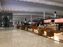 -广州白云国际机场-T2航站楼