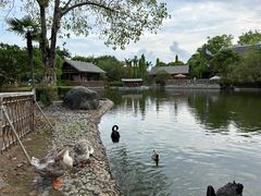 -厦门园林博览苑