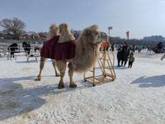 -北陵公园