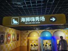 -大连圣亚海洋世界