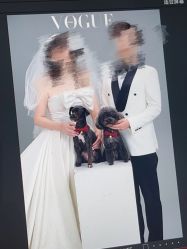 -青禾蒙娜丽莎婚纱摄影(武汉总店)