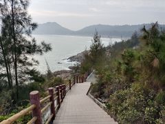 -广东惠东海龟国家级自然保护区