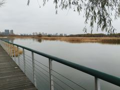 -哈尔滨大剧院