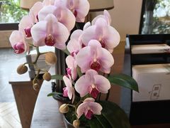 -天目湖御水温泉·度假酒店