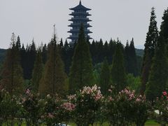 -宜兴龙背山森林公园