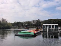 -新江湾城公园