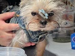 -凯德广场(武胜路店)