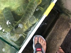 活体皮皮虾-拉威海鲜市场
