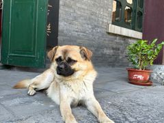-赵尔巽公馆-旧址