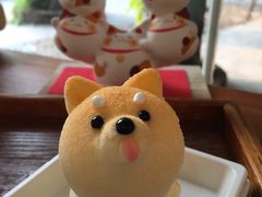 -柴犬高等学院·狗咖·柴犬售卖·宠物训练