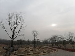 -盘龙城国家考古遗址公园