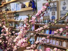 -今日陶艺(富力广场店)