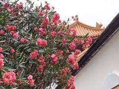 -福州开元寺
