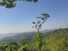 -长广溪湿地公园