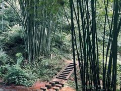 -蜀南竹海景区