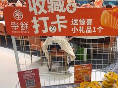 -争鲜回转寿司(朝北大悦城店)