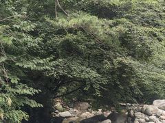 -陕西省红河谷森林公园