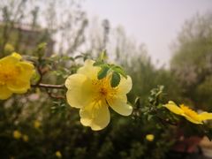 -坝河休闲公园