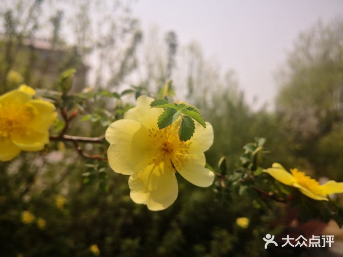 坝河休闲公园图片