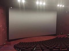 -悦江新远影城IMAX