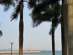-彩虹沙滩