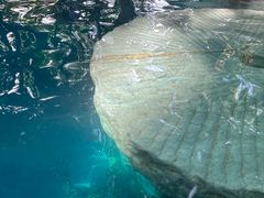 -湖泉半山温泉(湖泉生态园)