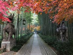 -云栖竹径